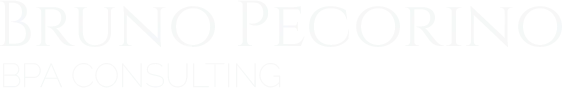 logo BPA Consulting